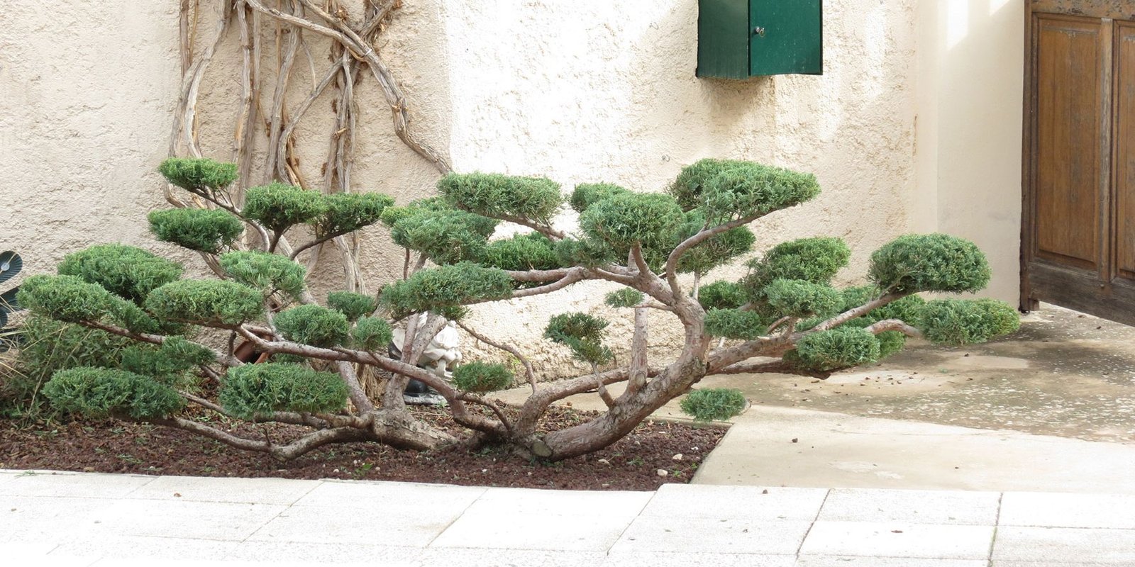 Garrigue Worker : Travaux paysagers