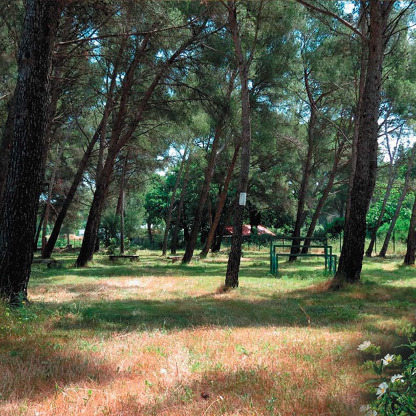 <strong>Débroussaillement sélectif</strong> <small>© Christophe Azzopardi</small>