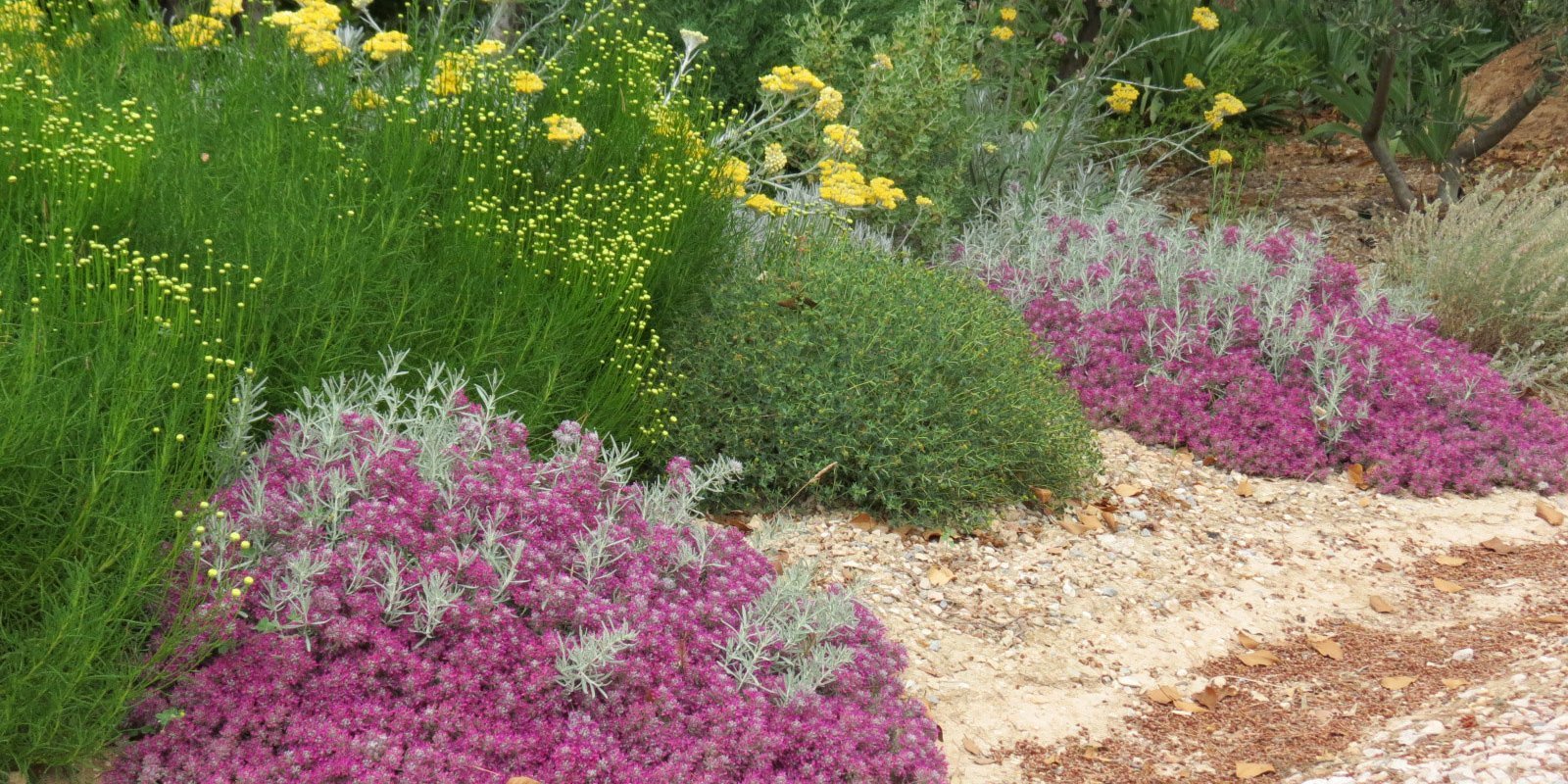 Garrigue Worker : Travaux paysagers