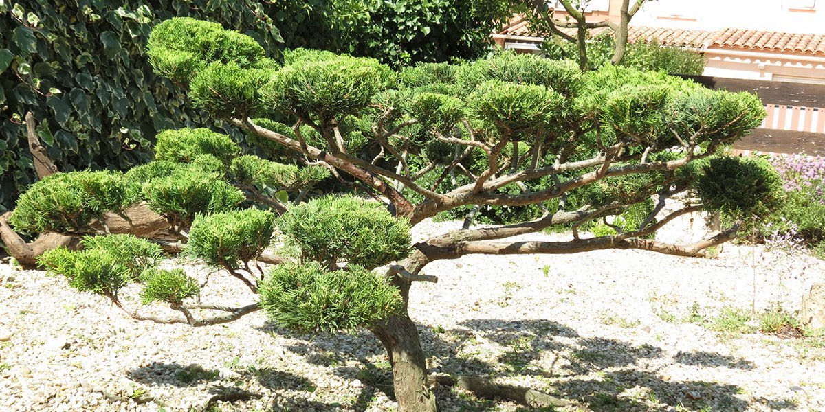 Garrigue Worker : Travaux paysagers