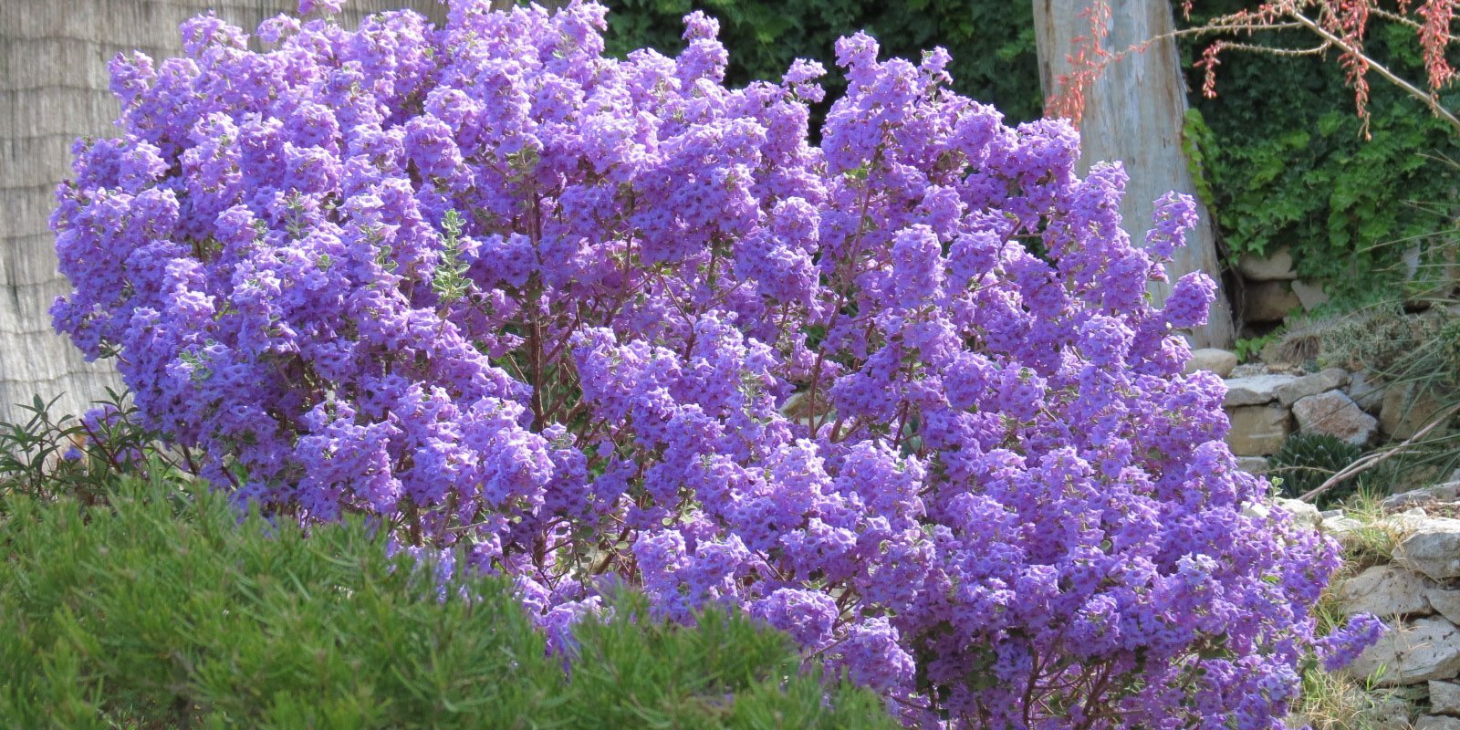 Garrigue Worker : Travaux paysagers